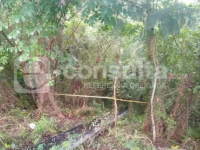 muerto-desaparecido-México_Tuxpan