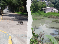 inundaciones, obras, La Lagunilla de Xalapa