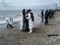 Semar limpia playa Pelícano tras contingencia por derrame de crudo