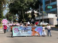 Maltrato Animal en Xalapa 2