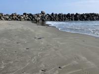 Playas de Boca del Río limpias de chapo para Semana Santa: alcaldesa