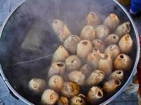 Por tamales con fentanilo, EUA ve necesario combatir crimen en México