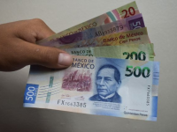 reparto de utilidades, México, empresas