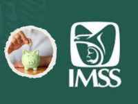 trabajador independiente, IMSS, Veracruz
