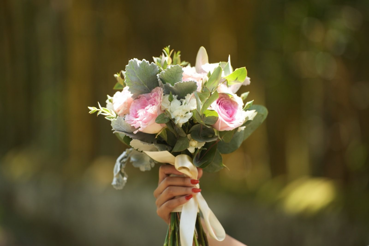 imagen_2024-01-15_170738794.png