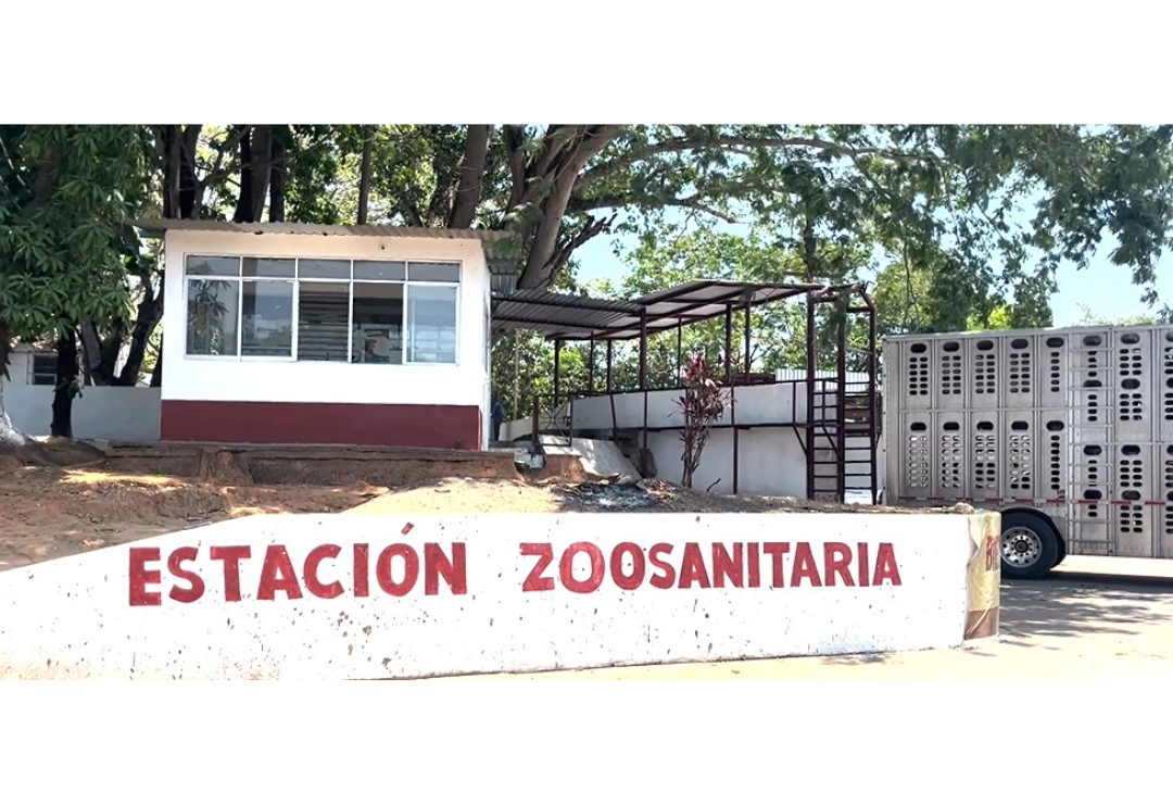 caseta-zoosanitaria-veracruz_1.png