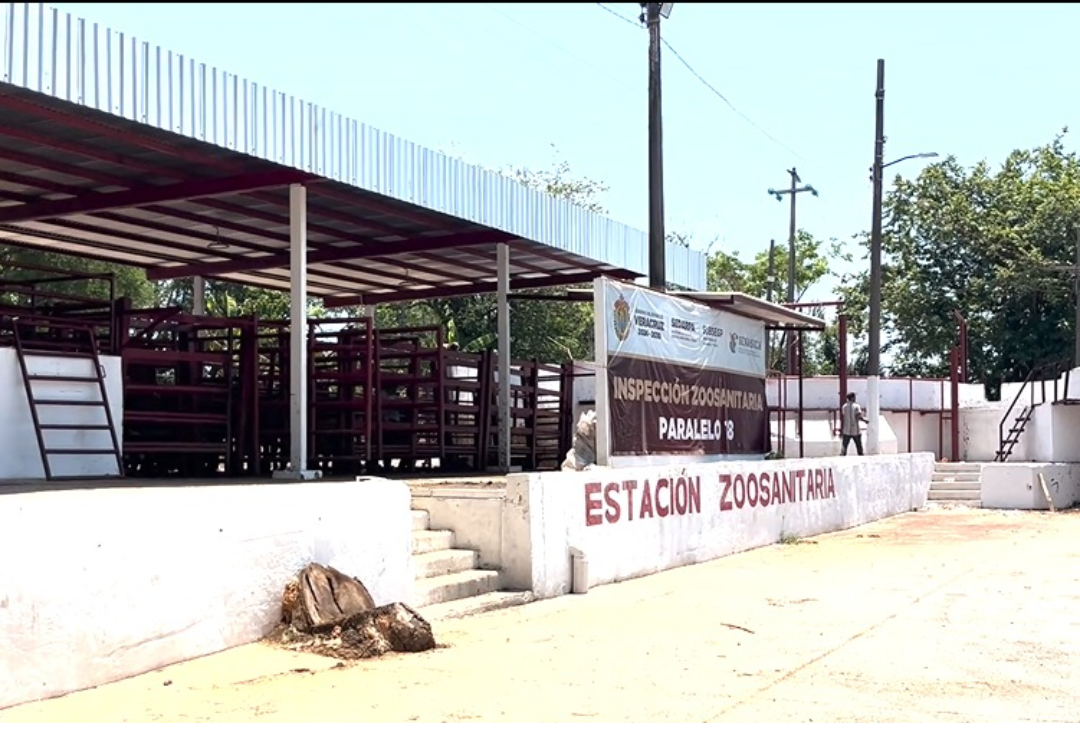 caseta-zoosanitaria-veracruz_5.png