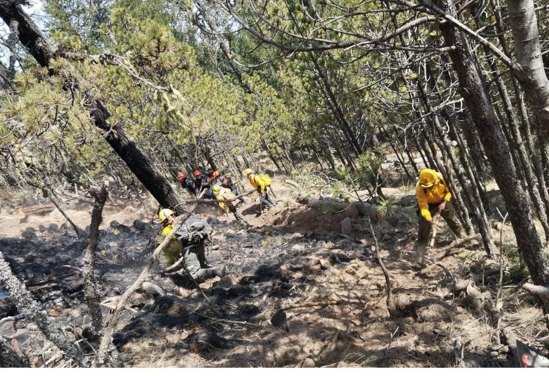 incendio_forestal-cofre_perote-conafor_3.png