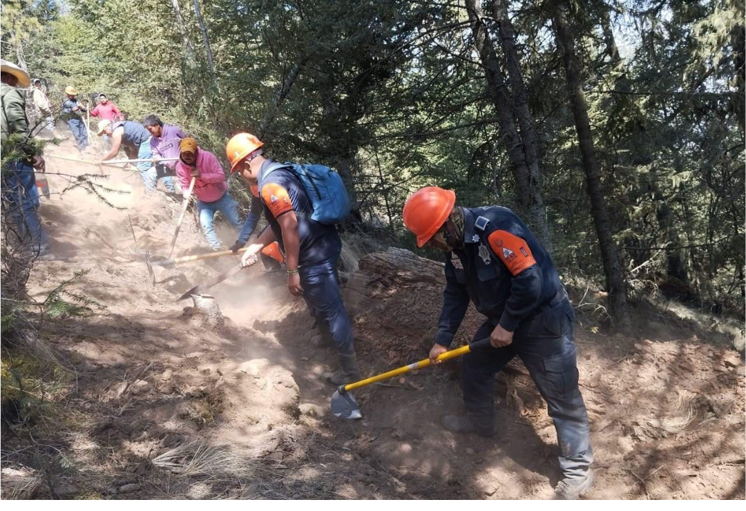 incendio_forestal-parque_nacional-cofre_perote_3.png