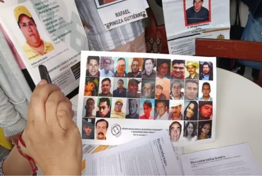 red_lupa-desaparecidos-veracruz.png