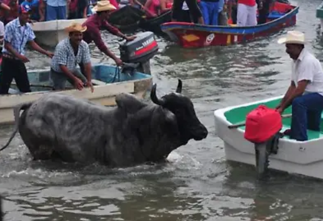 programa-fiestas_candelaria-tlacotalpan_3.png