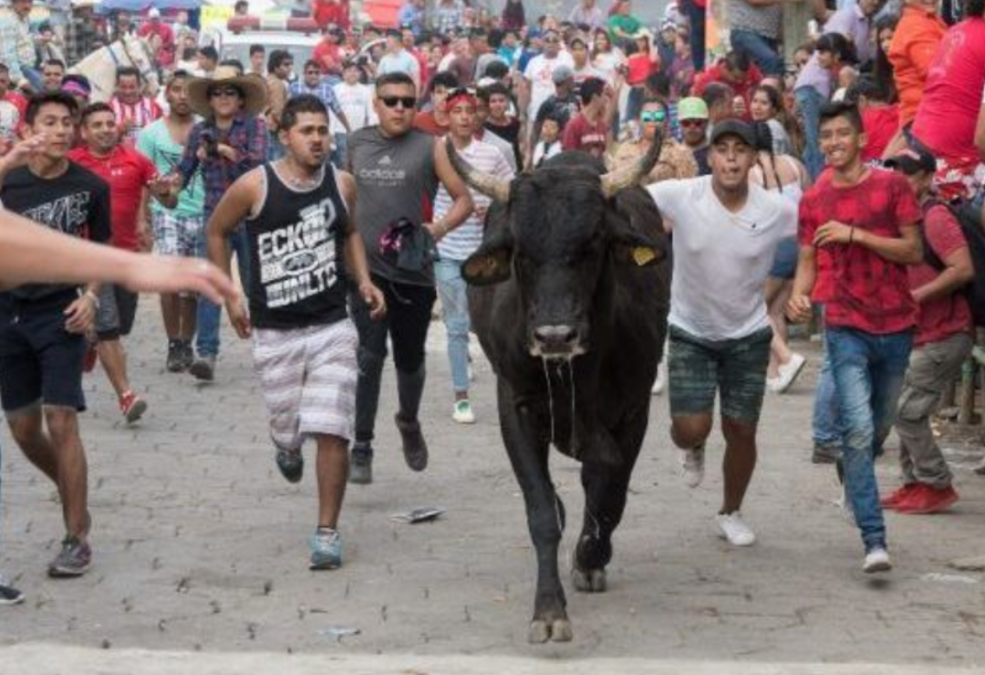 tlacotalpan-embalse_toros-candelaria_3.png