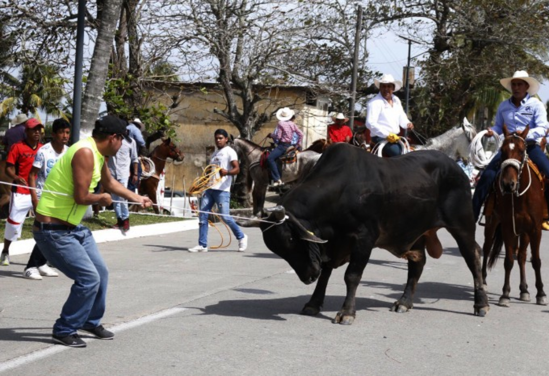 tlacotalpan-embalse_toros-candelaria_5.png