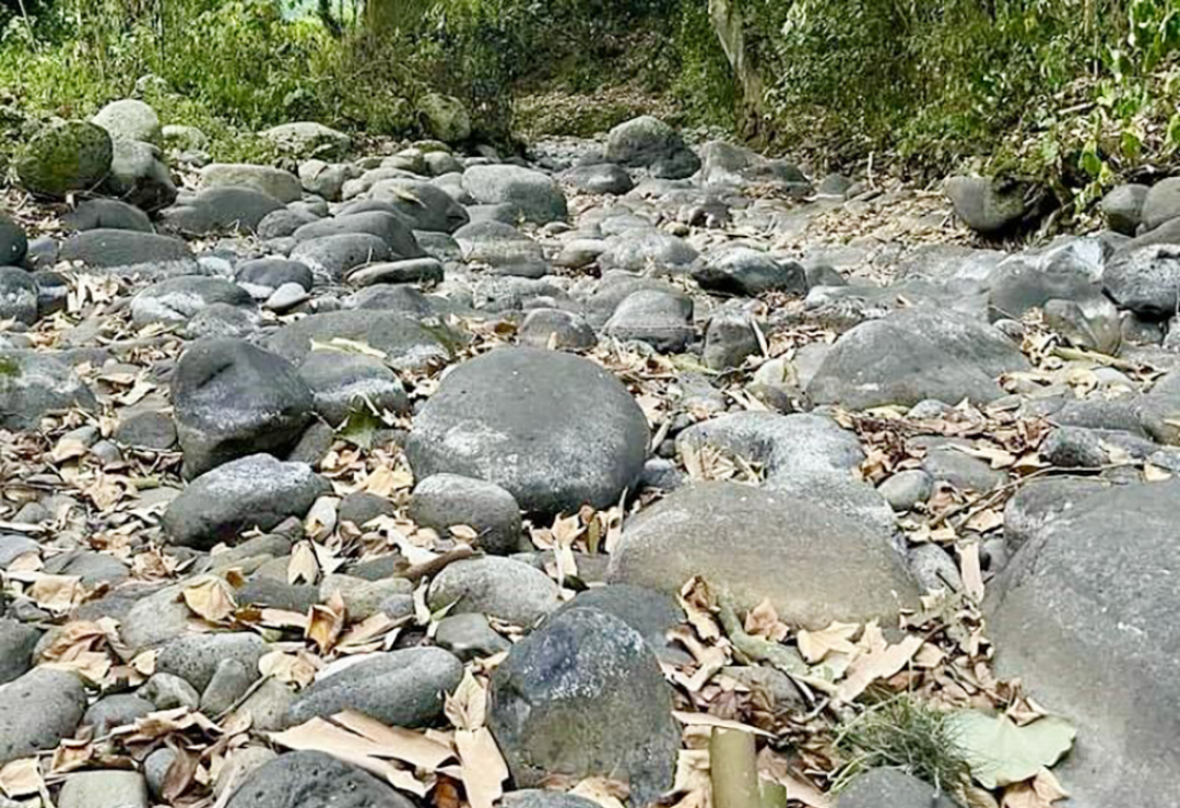 carretera_xalapa_alto_lucero-falta_agua-xalapa_3.png