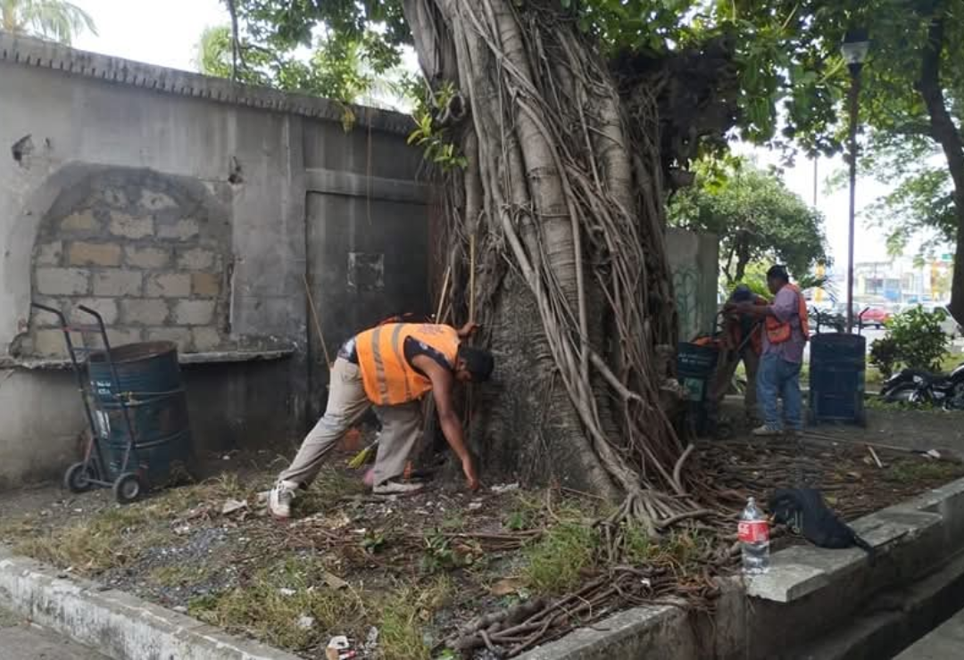 penal_de_allende-veracruz-demolicion_1.png