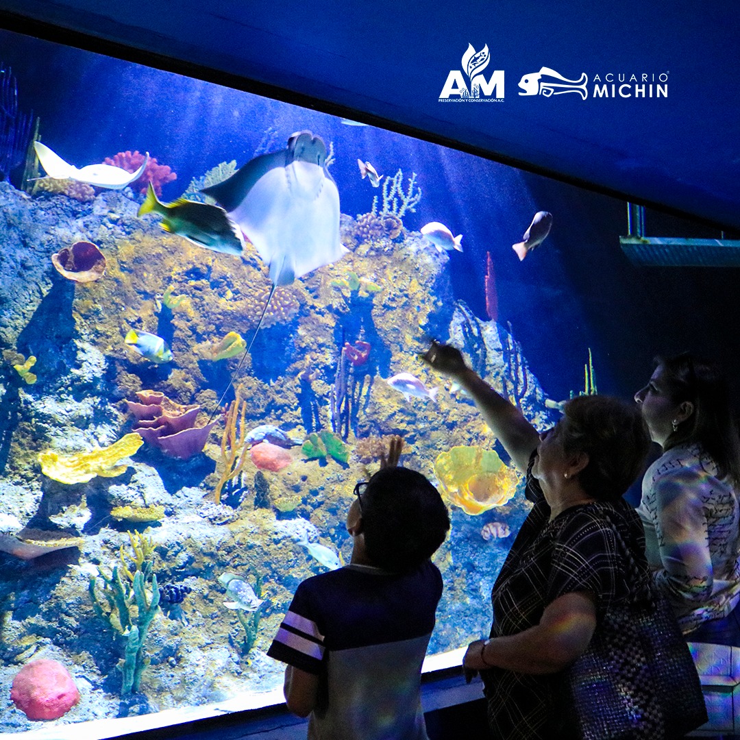acuario-michin-puebla.jpg
