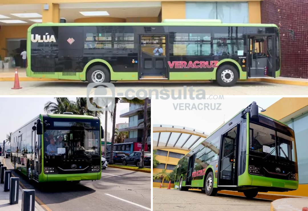 ulua-hibrido-veracruz.png