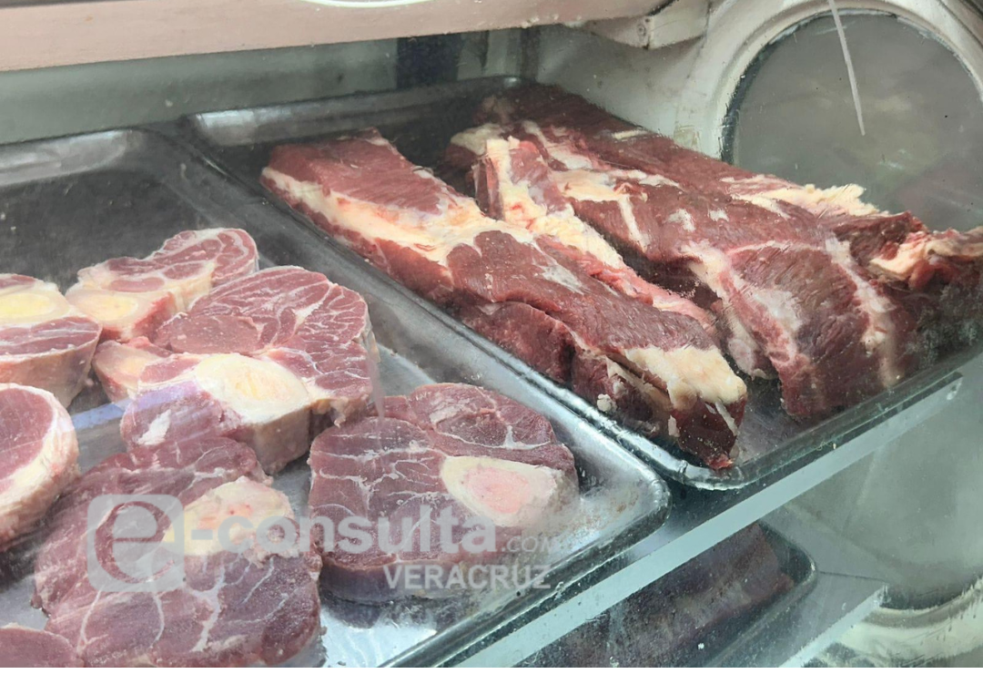carne-gusano_barrenador-minatitlan_1.png