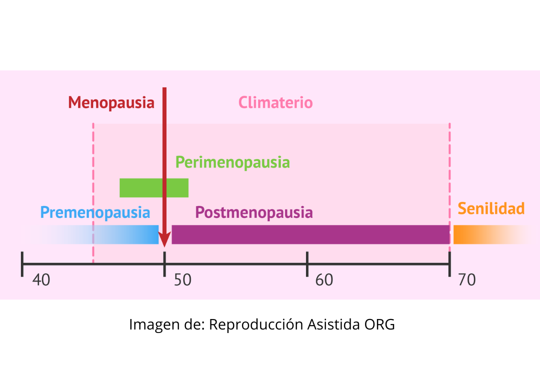 climaterio-mujeres-menstruacion_2.png