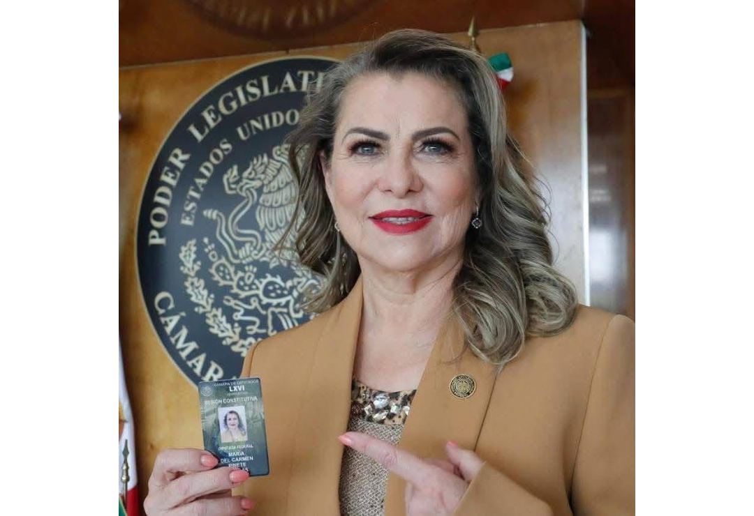 maria_carmen_pinete_vargas-diputada-partido_verde_1.png