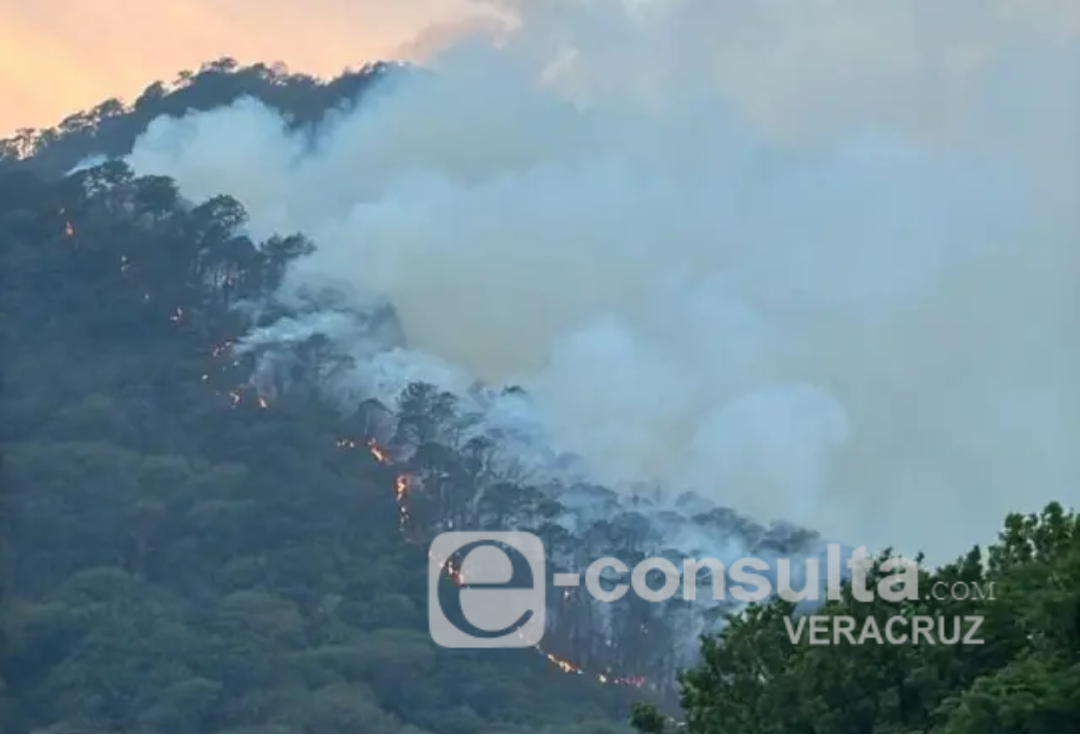incendio_forestal-cerro_san_cristobal-huilopapan_4.png