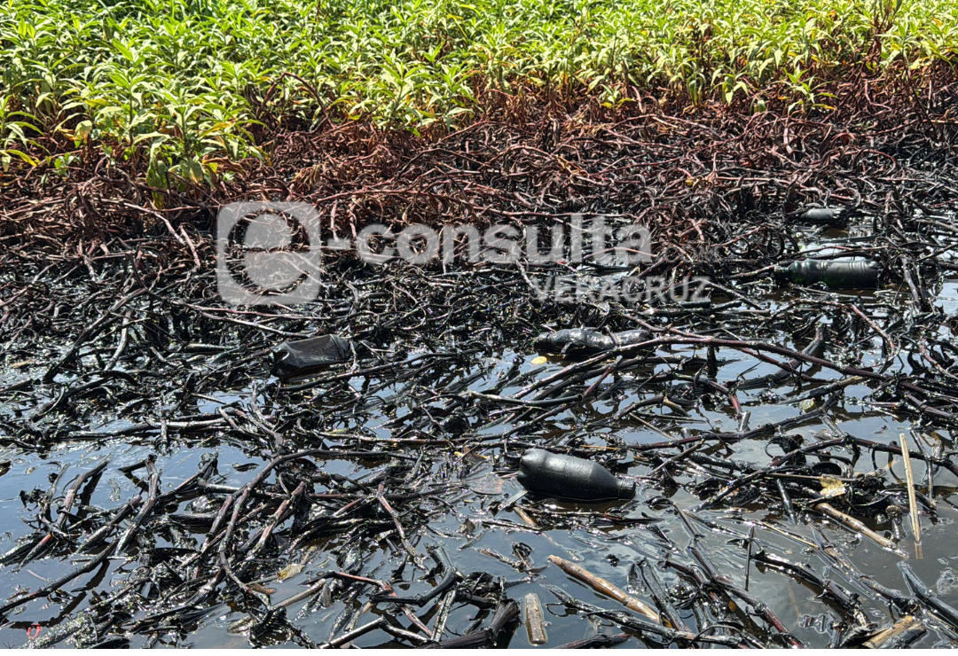 pemex-contaminacion-rio_coatzacoalcos_5.png
