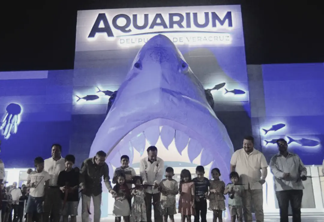 cuitlahuac-aquarium-sedema_1.png