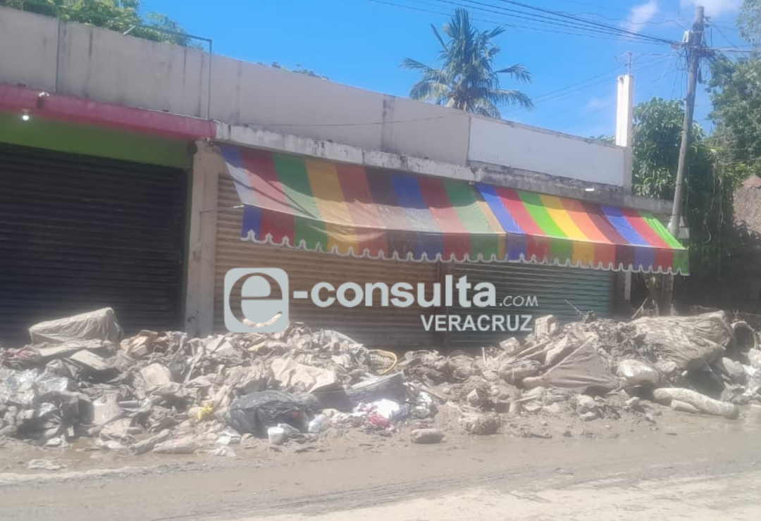 negocios-inundaciones-veracruz_2.png
