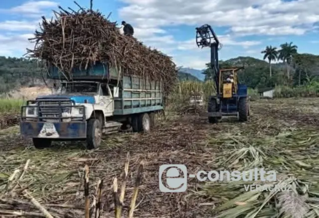 zafra-caneros-veracruz.png