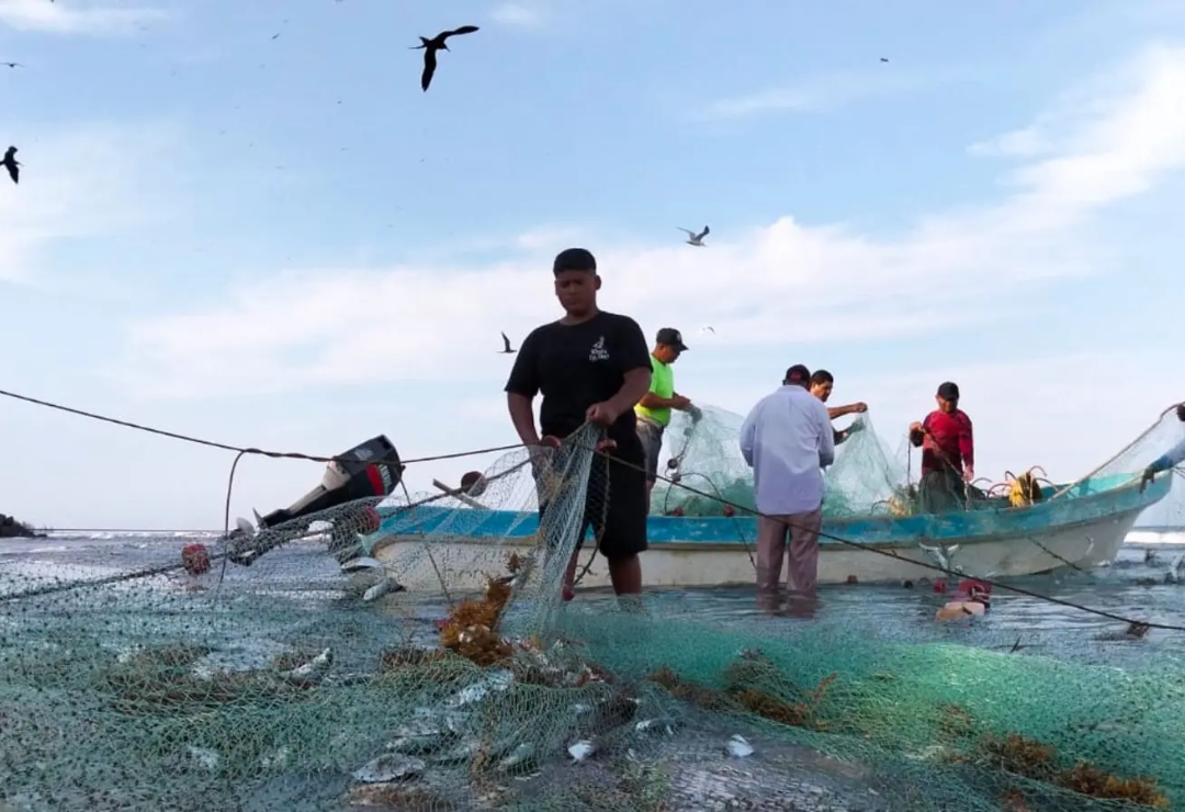 pesca-derrame-veracruz.png