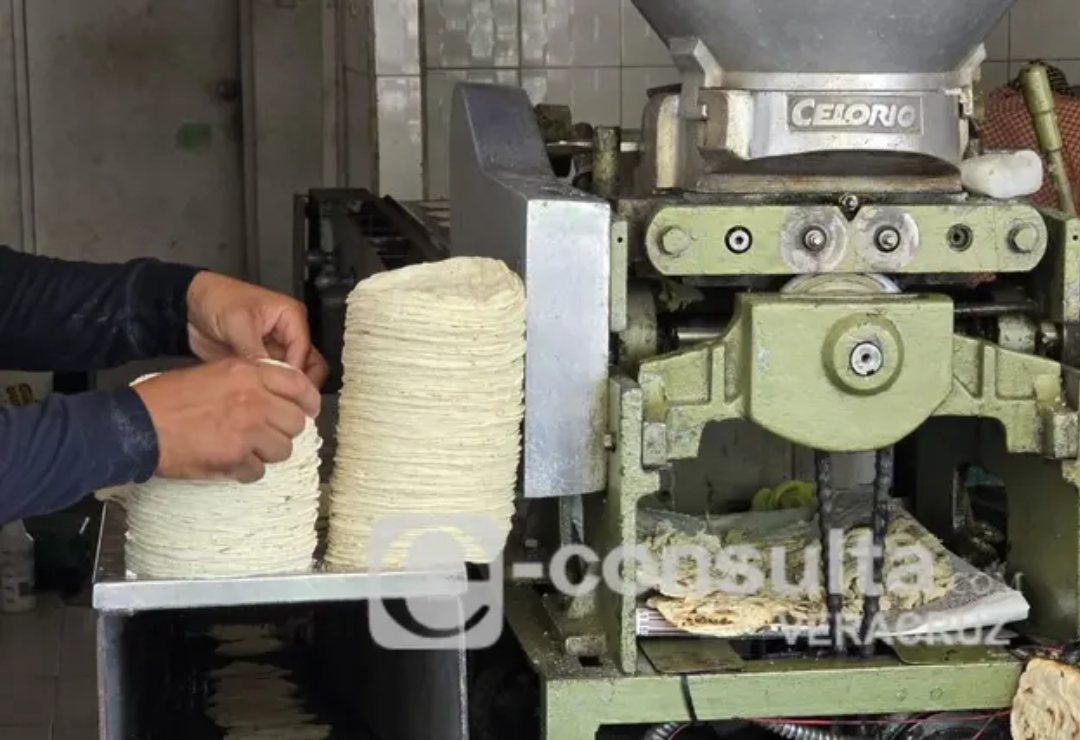 precio-tortilla-veracruz.png