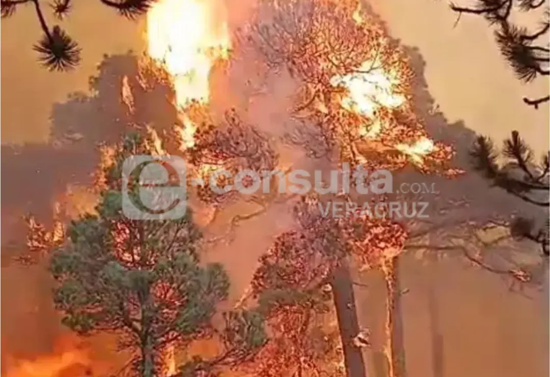 temporada-incendios_forestales-perote.png