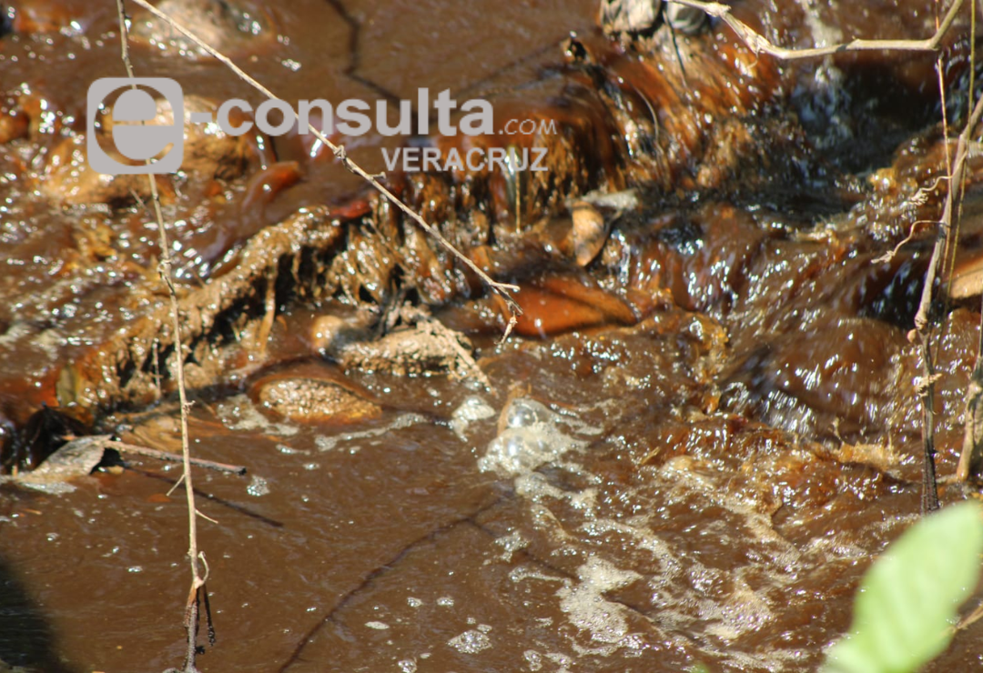 arroyo-cordoba-contaminacion_0.png