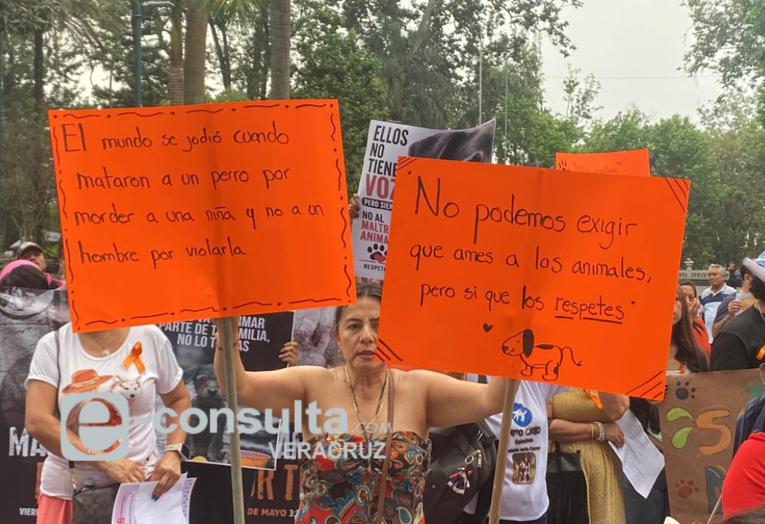 marcha-maltrato_animal-xalapa.png