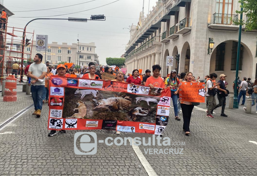 marcha-salud_animal-xalapa.png