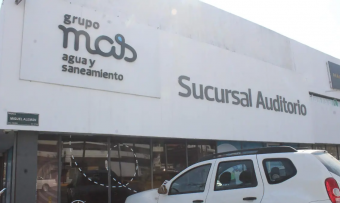 Resultados de auditoría a Grupo MAS estarán en septiembre: Orfis