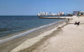 Sesver declara aptas dos playas en Veracruz pese a reporte de Cofepris