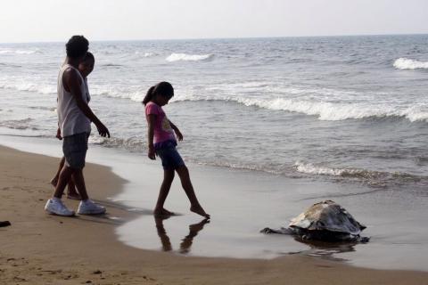 Foto: Sergio Balandrano