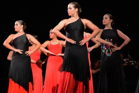 Foto: AVCNoticias Foto: AVCNoticias