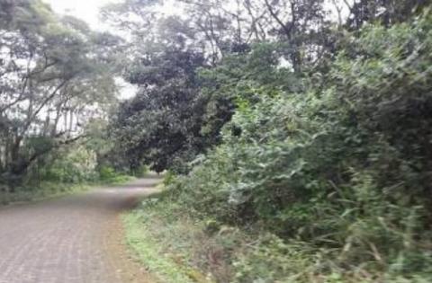 Hallan hombre sin vida en Murillo Vidal, en Xalapa