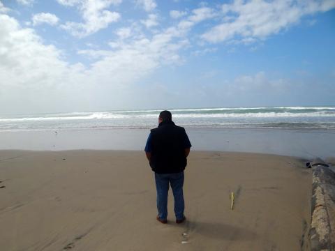 Matan al periodista Pedro Tamayo en Tierra Blanca, Veracruz