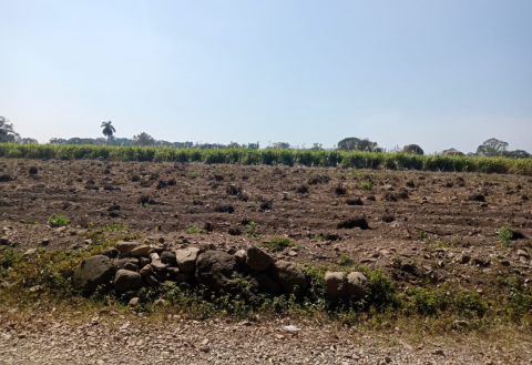 agricultura-agua-Veracruz agricultura-agua-Veracruz