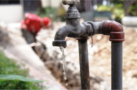 Foto: AVCNoticias Foto: AVCNoticias