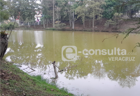 Aguas negras contaminan Laguna de Casa Blanca, denuncian
