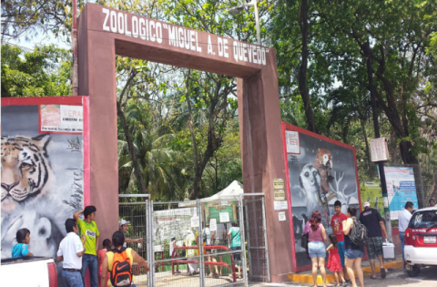 Anuncian apertura y rehabilitación de zoológico de Veracruz