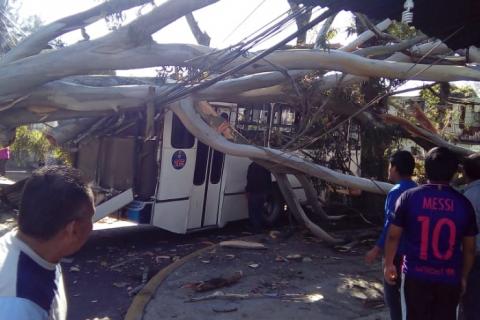 Foto: Especial Foto: Especial