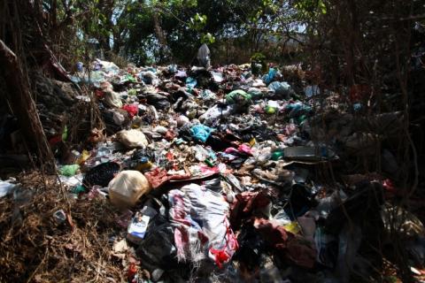 Foto: AVCNoticias Foto: AVCNoticias