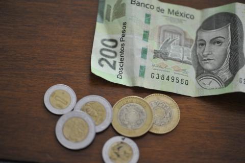 Foto: AVCNoticias Foto: AVCNoticias