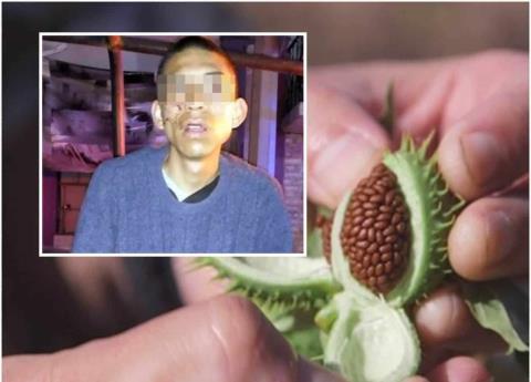 ¿Qué es la burundanga, la droga que habrían obligado a ingerir a Marco Antonio?