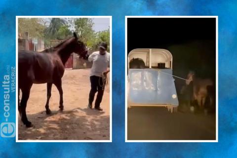 Joven se justifica y disculpa por arrastrar a un caballo en Veracruz